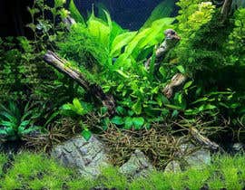 #160 para Aquarium: Background picture! de darkparadis13