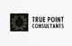 Graphic Design soutěžní návrh č. 16 do soutěže True Point Consultants