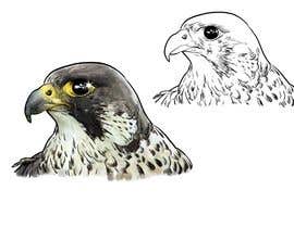 #47 cho sketch of a falcon bởi berragzakariae
