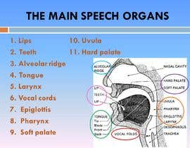 #44 for Mouth diagrams / charts by jahedahmed01