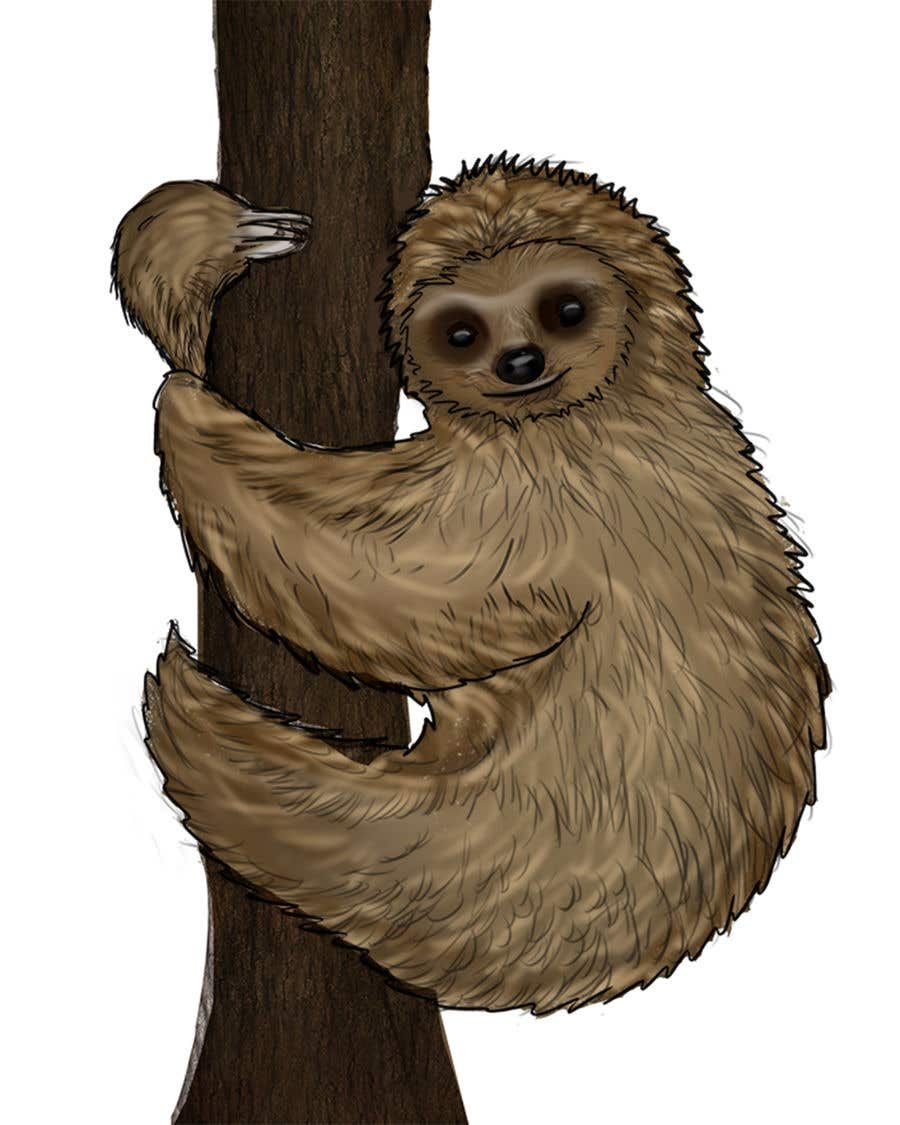 
                                                                                                                        Penyertaan Peraduan #                                            39
                                         untuk                                             Staleface Sloth
                                        