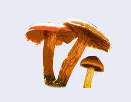 #52 for Tipsy Mushrooms by lupaya9