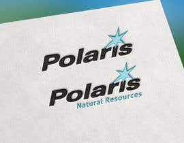 Nro 25 kilpailuun Polaris Logo Update - 26/11/2021 18:51 EST käyttäjältä dreammrkhan