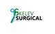 Miniatura da Inscrição nº 19 do Concurso para                                                     Design a Logo for 'Skelev Surgical'
                                                