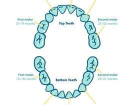 Nro 2 kilpailuun Pediatric Teeth Chart käyttäjältä imzoro