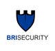 Miniaturka zgłoszenia konkursowego o numerze #94 do konkursu pt. "                                                    Design a Logo for BRI Security
                                                "