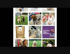 #40 for Instagram Grid Layout &amp; Stories Content / Dog Brand af logersabuj