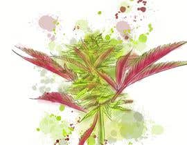 #87 for Draw or illustrate a hemp plant for me by loveillustration