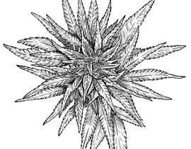 #83 for Draw or illustrate a hemp plant for me by rickycastillo