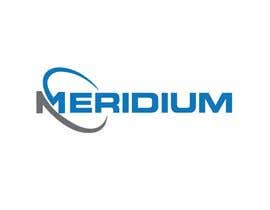 Nro 273 kilpailuun Logo Design et Charte Graphique pour Meridium käyttäjältä tamzid01