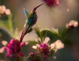 #4 for Blooming Flower Flying Hummingbird by jemishkhokhani07