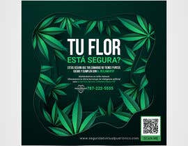 Nro 189 kilpailuun Flyer to send by email Medical Cannabis Virtual Security käyttäjältä imranislamanik