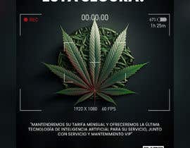 Nro 99 kilpailuun Flyer to send by email Medical Cannabis Virtual Security käyttäjältä Hirajaved62
