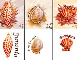 #85 для Draw or Paint a Three Specific Sea Shells JUNONIA, SCOTCH BONNET and LION’S PAW от ZiadRady1