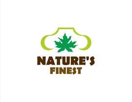 Nro 130 kilpailuun Simple Logo For A Cannabis Company käyttäjältä affanfa