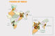Ảnh thumbnail bài tham dự cuộc thi #8 cho                                                     Design Food Map of India
                                                