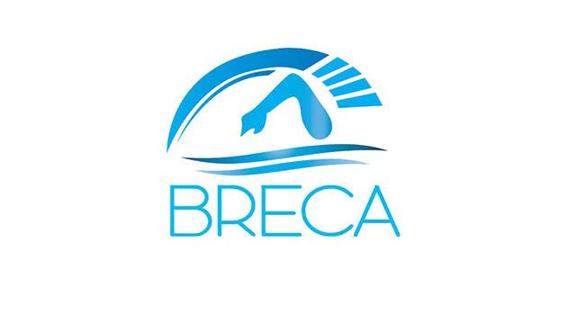 Bài tham dự cuộc thi #5 cho                                                 Design a Logo for Breca Swimrun
                                            
