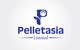 Konkurrenceindlæg #559 billede for                                                     Design a Logo for Pelletasia
                                                