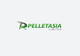 Konkurrenceindlæg #651 billede for                                                     Design a Logo for Pelletasia
                                                