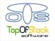 Miniatura da Inscrição nº 14 do Concurso para                                                     Design a Logo for TopOfStack
                                                
