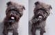 
                                                                                                                                    Miniatura da Inscrição nº                                                 8
                                             do Concurso para                                                 Affenpinscher dog converted to Pop Art
                                            
