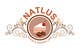 Icône de la proposition n°70 du concours                                                     Design a logo & complete identity for NATLUS,
                                                