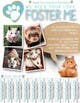 Kilpailutyön #34 pienoiskuva kilpailussa                                                     Design a Flyer for a small animal rescue
                                                