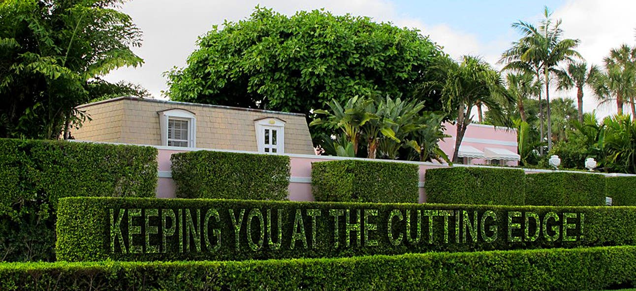 Contest Entry #60 for                                                 I need some Graphic Design for a strapline cut in a hedge
                                            