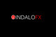 Náhled příspěvku č. 293 do soutěže                                                     Logo Design for Indalo FX
                                                