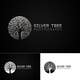 Kilpailutyön #33 pienoiskuva kilpailussa                                                     Design A Logo for New Photographer - Silver Tree Photography
                                                