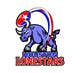 Pictograma corespunzătoare intrării #141 pentru concursul „                                                    Logo Design for Houston Lonestars Australian Rules Football team
                                                ”