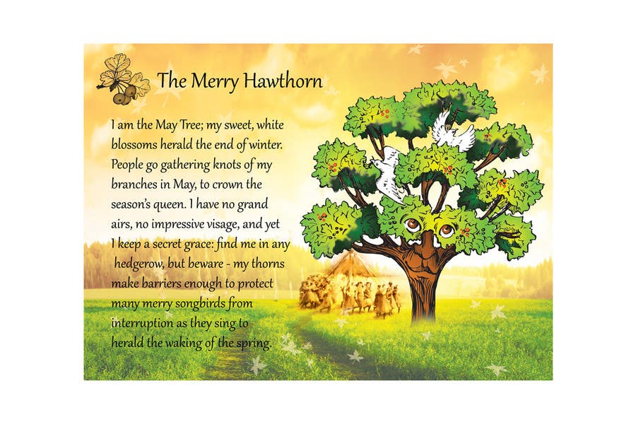 Inscrição nº 8 do Concurso para                                                 Adding colour and background to  The Merry Hawthorn
                                            