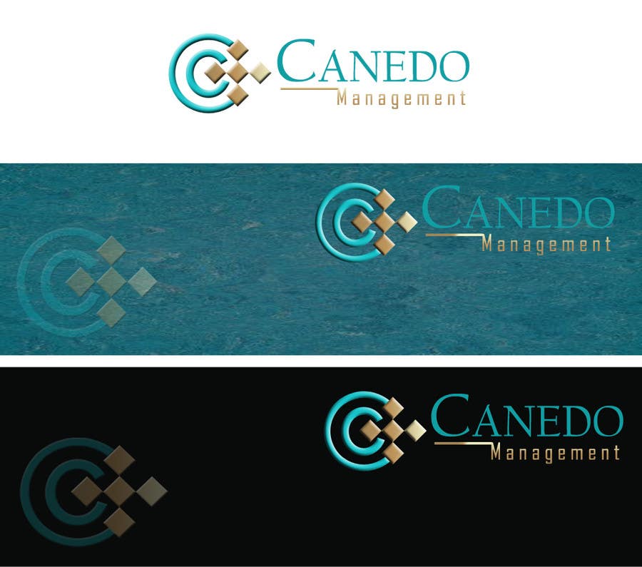 Penyertaan Peraduan #15 untuk                                                 Design a Logo for Canedo Management
                                            