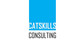 Konkurrenceindlæg #24 billede for                                                     Design a Logo for Catskills Consulting
                                                