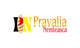 Icône de la proposition n°34 du concours                                                     Realizează un design de logo for Pravalia Nemteasca
                                                