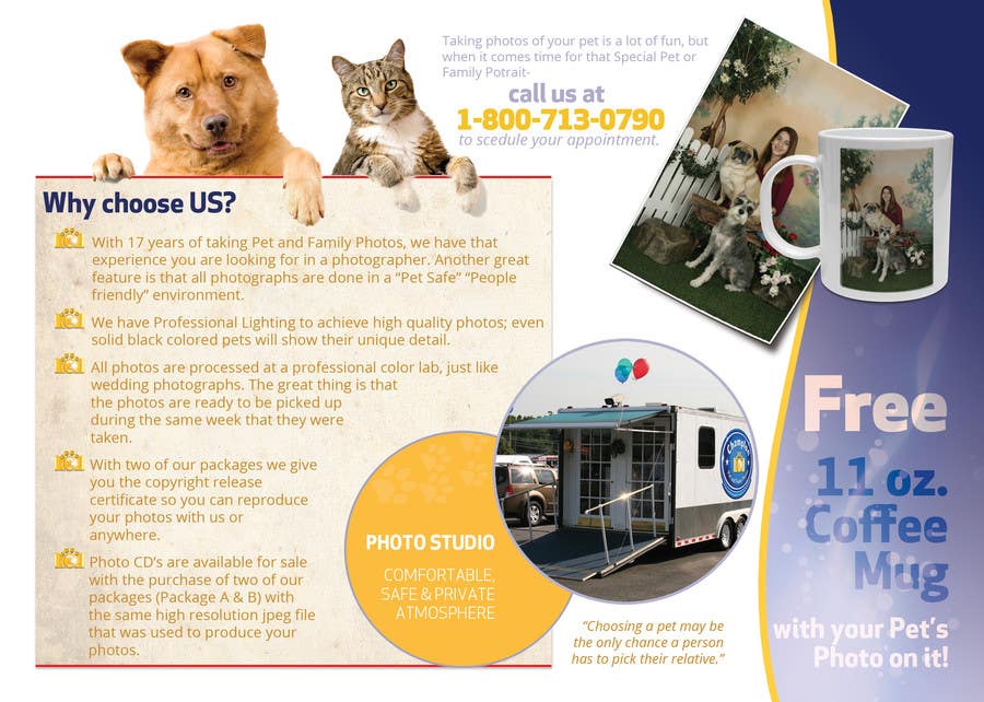 Bài tham dự cuộc thi #67 cho                                                 Design a Flyer for Pet and Family Photography Business
                                            