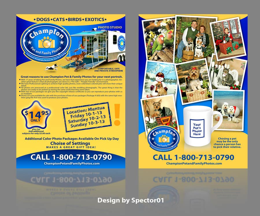 Bài tham dự cuộc thi #3 cho                                                 Design a Flyer for Pet and Family Photography Business
                                            