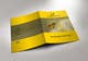 Kilpailutyön #30 pienoiskuva kilpailussa                                                     Design a Brochure for thunderbees
                                                