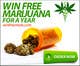 Contest Entry #26 thumbnail for                                                     Design a Banner for Medical Marijuana website
                                                