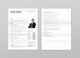Miniatura da Inscrição nº 16 do Concurso para                                                     convert my resume to an eye catching graphic resume
                                                