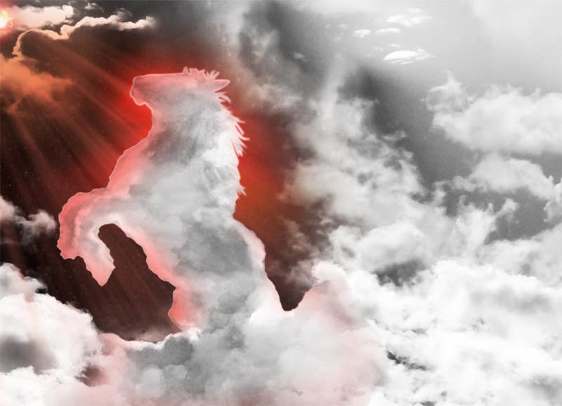 Inscrição nº 43 do Concurso para                                                 Picture of clouds in the shape of a horse
                                            