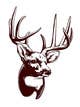Imej kecil Penyertaan Peraduan #14 untuk                                                     Whitetail Buck Emblem Design
                                                