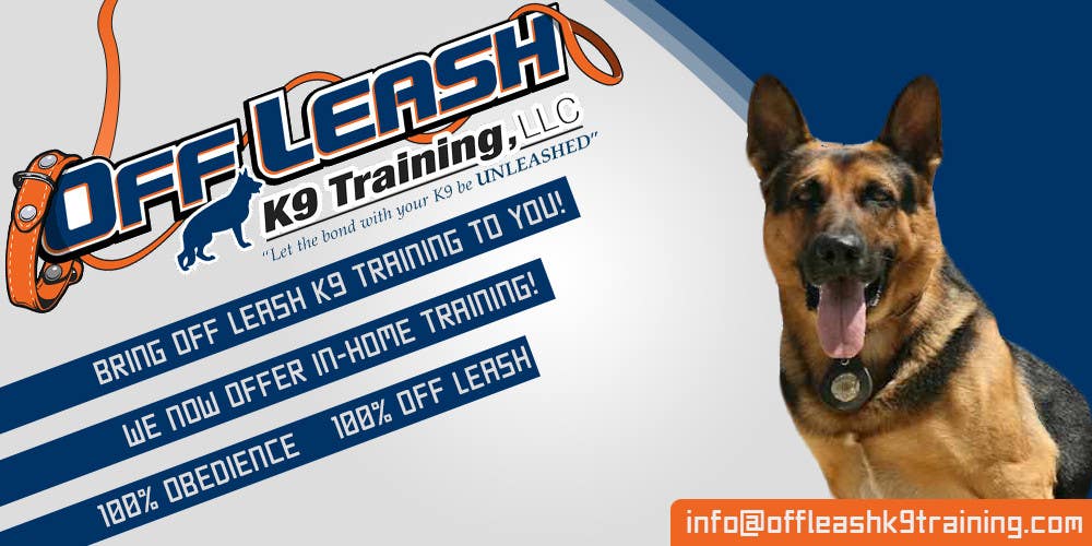 
                                                                                                                        Kilpailutyö #                                            5
                                         kilpailussa                                             Design an Advertisement for Dog Training Business
                                        