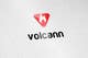 Konkurrenceindlæg #693 billede for                                                     Design a Logo for Volcann
                                                