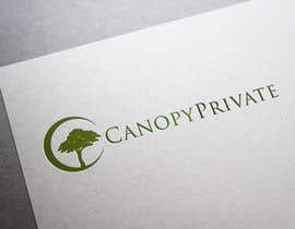 #163 para Design a Logo for Canopy Private - Financial Planning Business por oranzedzine