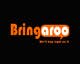Contest Entry #309 thumbnail for                                                     Logo Design for Bringaroo
                                                