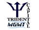 Konkurrenceindlæg #82 billede for                                                     Design a Logo for Trident Capital Management Ltd
                                                