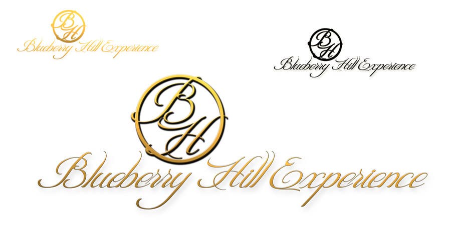 Inscrição nº 204 do Concurso para                                                 Logo Design for Blueberry Hill Experience
                                            