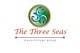 Ảnh thumbnail bài tham dự cuộc thi #54 cho                                                     Logo Design for The Three Seas Psychology Group
                                                