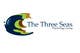 Tävlingsbidrag #124 ikon för                                                     Logo Design for The Three Seas Psychology Group
                                                